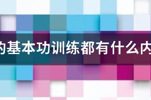 篮球基础训练教材有哪些